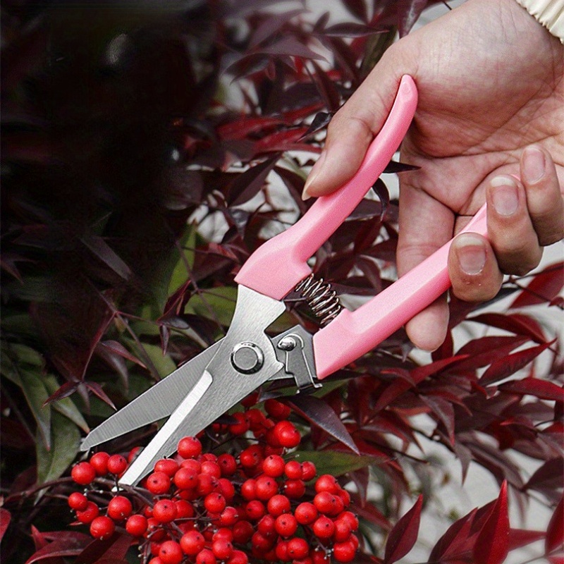 Set di 2 Forbici per Fiori (Ro - Pinking Shear Blade recensione e prezzo